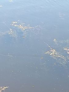 Imagine WhatsApp 2025-05-22 la 11.55.47_119debd8