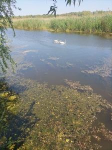 Imagine WhatsApp 2025-05-22 la 12.01.22_5a76de30