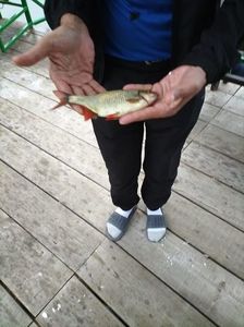 Imagine WhatsApp 2025-05-22 la 20.16.31_627e4cf4