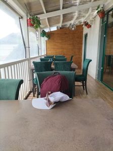 Imagine WhatsApp 2025-05-23 la 13.28.17_24f4c073