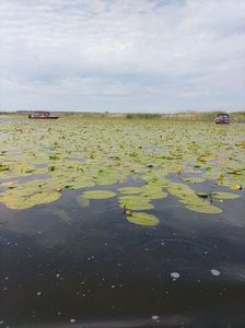 Imagine WhatsApp 2025-05-24 la 10.47.01_898d1c9e