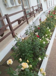 Imagine WhatsApp 2025-05-24 la 17.40.05_be65c9df