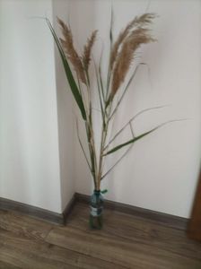 Imagine WhatsApp 2025-05-25 la 07.24.55_3212179f