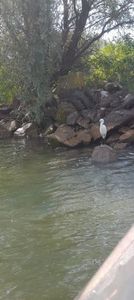 Imagine WhatsApp 2025-05-25 la 16.15.14_baaff57a