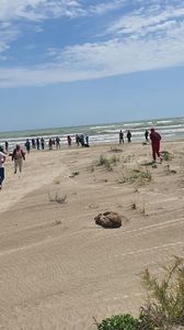 Imagine WhatsApp 2025-05-26 la 18.29.58_a5c63269