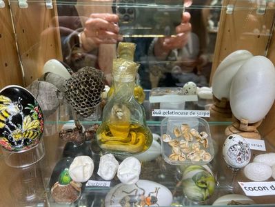 Imagine WhatsApp 2025-04-26 la 13.31.26_16ac3f5b