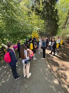 Imagine WhatsApp 2025-04-28 la 11.39.51_27cb0c4a