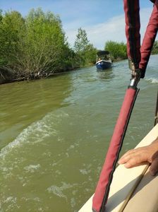 Imagine WhatsApp 2025-05-24 la 10.25.24_afbc06b1