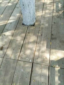 Imagine WhatsApp 2025-05-24 la 14.59.24_94a53afb