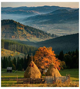 ♡ Sᥱρtᥱmbᥱr 28 » „Country roads, take me home.. to the place.. where I belong.”; https://www.youtube.com/watch?v=1vrEljMfXYo
