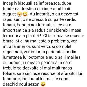 Poza net