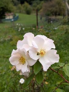 PXL_20250925_090959480