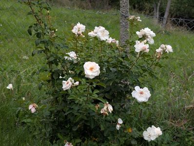 PXL_20250925_091855473