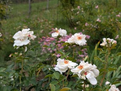 PXL_20250925_091920378