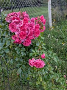 PXL_20250920_153446065