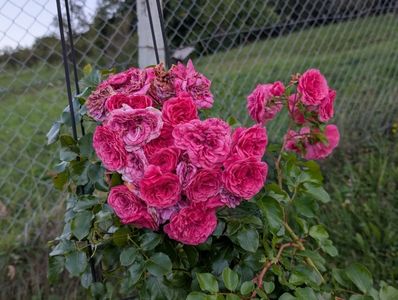 PXL_20250920_153507865