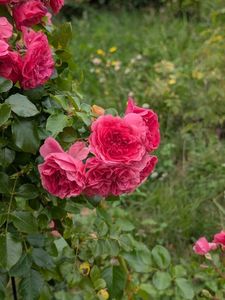 PXL_20250925_090627783