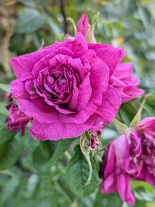 PXL_20250902_155238957