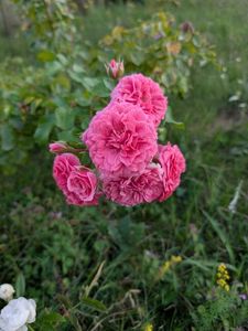 PXL_20250902_161629154
