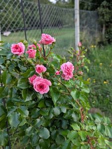 PXL_20250902_161637144