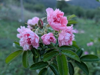 PXL_20250902_155730866