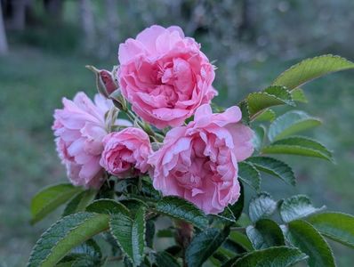 PXL_20250902_155747015