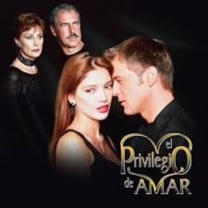 El privilegio de amar.