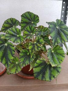 5f3b5a97-9ecb-49a6-8ceb-aad4d7677e41