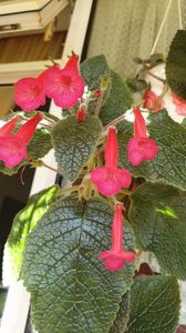 IMG-20250921-WA0044