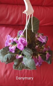 IMG-20250829-WA0040