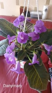 IMG-20250829-WA0044