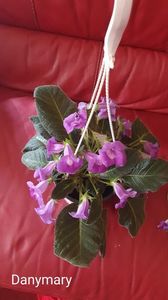 IMG-20250829-WA0042