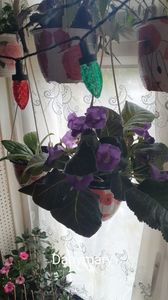 IMG-20250830-WA0044