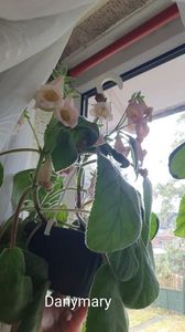 IMG-20250828-WA0067