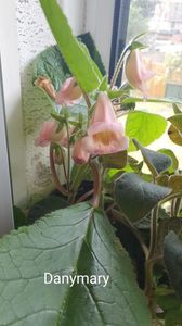 IMG-20250828-WA0065