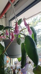 IMG-20250828-WA0071