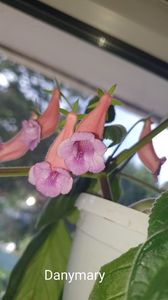 IMG-20250828-WA0075