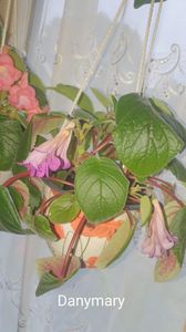 IMG-20250920-WA0035