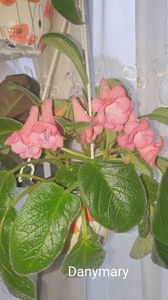 IMG-20250920-WA0032