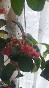 IMG-20250920-WA0039