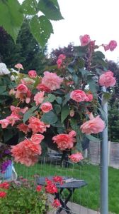 Messenger_creation_D155C43A-5026-4D1B-BA84-1D4B5E1481DB