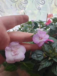 Messenger_creation_365F2B27-D574-4425-A0BB-3D88B1F71A95 Messenger_creation_365F2B27-D574-4425-A0BB-3D88B1F71A95