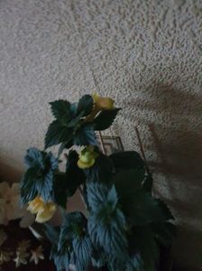 Messenger_creation_2084C745-510B-48F2-B443-0B60974055F9