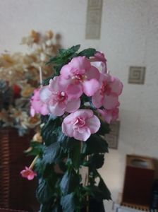 Messenger_creation_21F050C7-38F6-4CE2-B763-DD1DECE97A8B Messenger_creation_21F050C7-38F6-4CE2-B763-DD1DECE97A8B