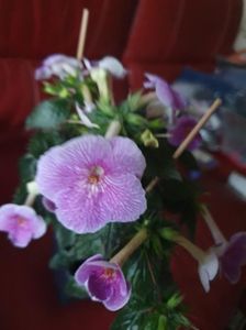 Messenger_creation_03FE9583-5DD6-4241-96C4-A7D64AFCD358