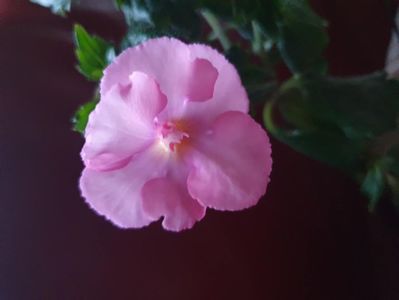 Messenger_creation_532026AE-D679-4D88-8E31-BF79AC7DE7D7 Messenger_creation_532026AE-D679-4D88-8E31-BF79AC7DE7D7