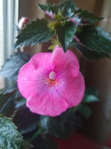 Messenger_creation_5A0E4A11-29C9-47A9-BD64-5BBD5F93EF85 Messenger_creation_5A0E4A11-29C9-47A9-BD64-5BBD5F93EF85