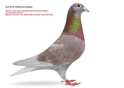 imagine-1737979524-801240