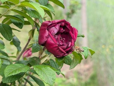 PXL_20250526_121811944