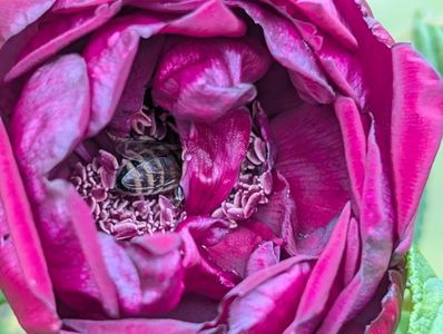 PXL_20250526_121832815